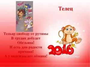 Телец в год обезьяны женщина характеристика