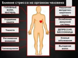 Как восстановить организм после стресса