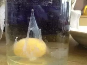 Расшифровка яйца в воде при снятии порчи