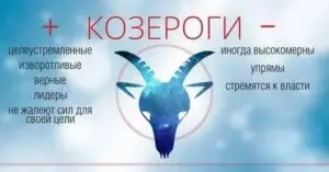 Козерог черты характера женщины