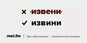 Как правильно писать извините или извените