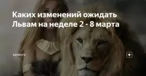 Какая женщина нужна мужчине льву